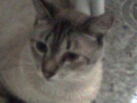 /album/galeria-de-fotos-pagina-inicial/c-061107-195750-jpg/