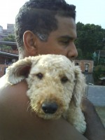 /album/galeria-de-fotos-pagina-inicial/dsc00279-jpg/