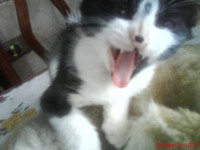 /album/galeria-de-fotos-pagina-inicial/dsc01311-jpg/