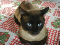 /album/galeria-de-fotos-pagina-inicial/dsc00281-jpg/